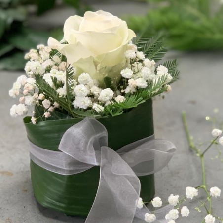 Solitaire blanc