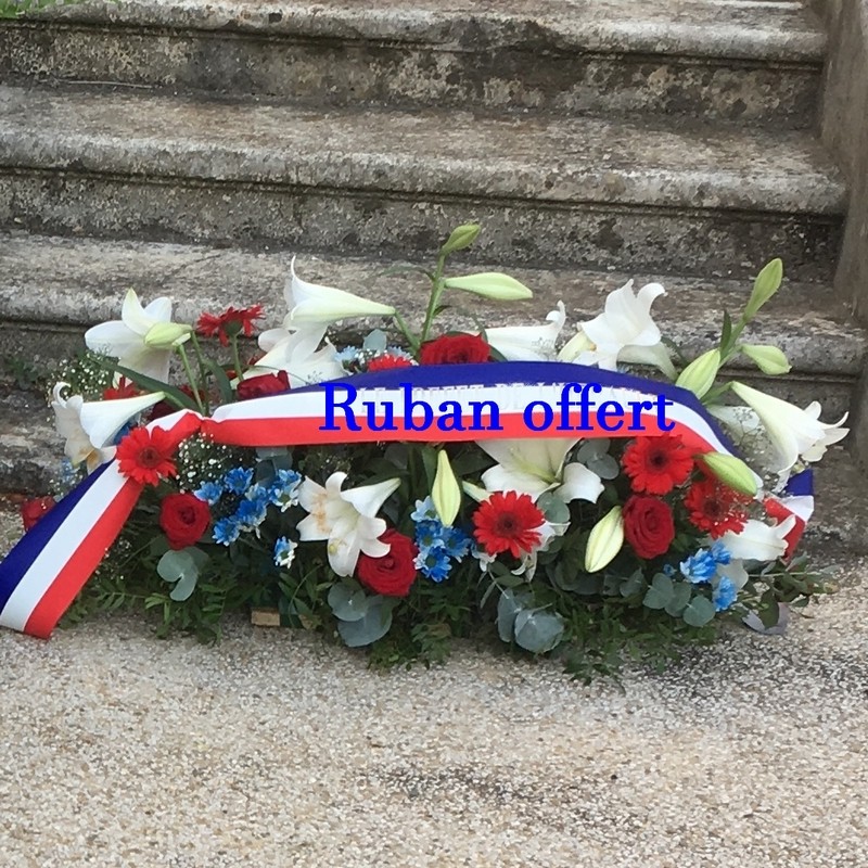 Raquette tricolore xxl