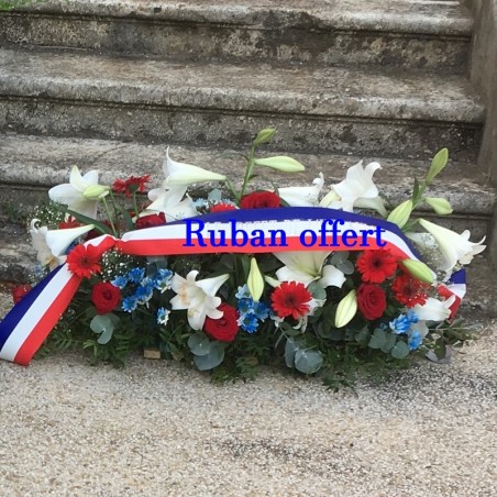 Raquette tricolore xxl